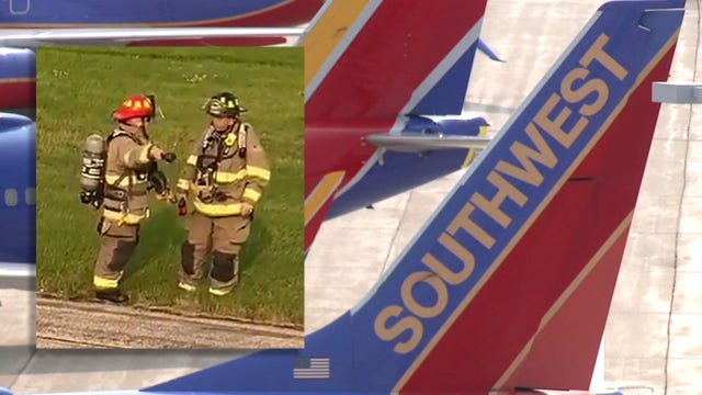 Southwest captain performs 'rejected takeoff' due to bird strike