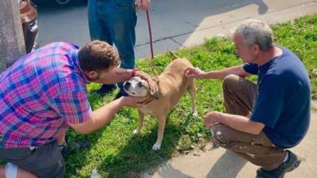 Wauwatosa man awarded by PETA after saving dog from house fire