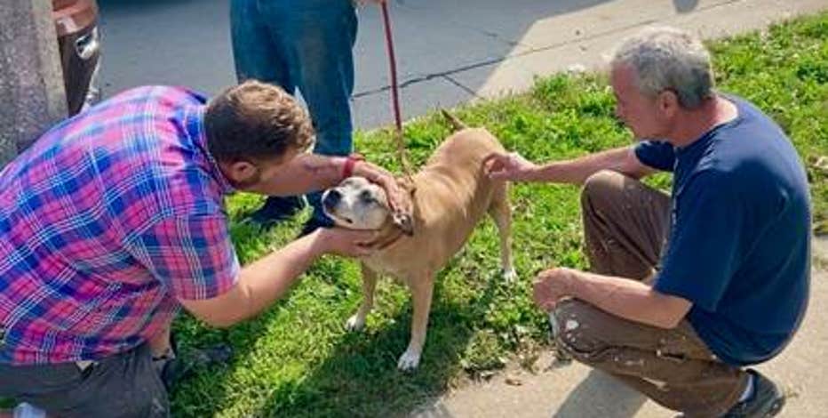 Wauwatosa man awarded by PETA after saving dog from house fire