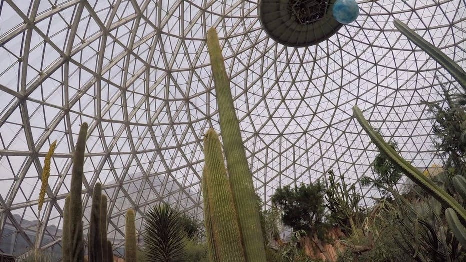 Mitchell Park Horticultural Conservatory