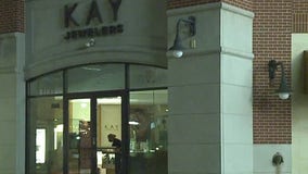 Attempted burglary at Bayshore jewelry store