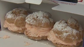 Pumpkin Spice Cream Puffs at State Fair Park