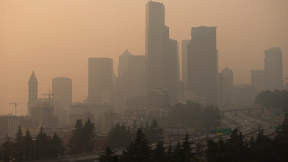 Wildfire smoke in US exposes millions to hazardous pollution