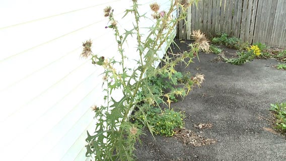 'Disheartening:' Contact 6 hears about problematic paver, again