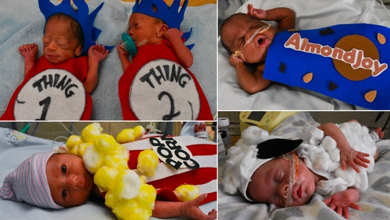 NICU babies celebrate Halloween in adorable fashion at Florida hospital