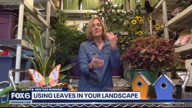 Mow them over: Benefits of using leaves in your garden