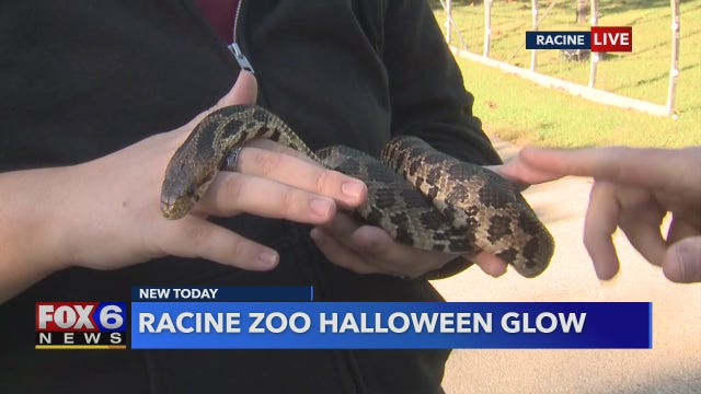 Enjoy an enchanting Halloween experience from the comfort of your vehicle