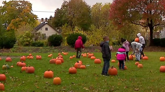 Milwaukee pumpkin giveaway offers free Halloween fun
