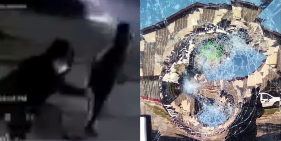 'The Hemp Professors,' blocks from Wauwatosa, damaged during protests