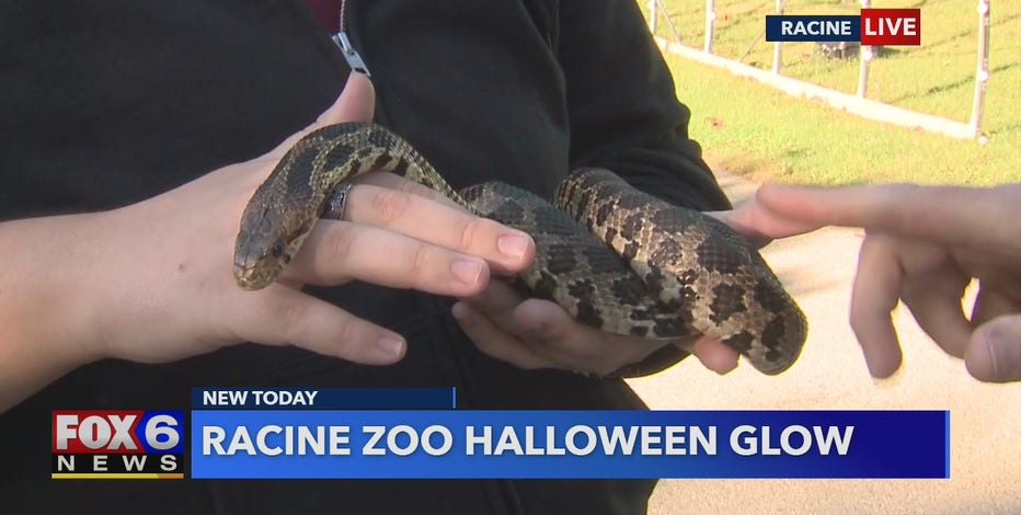 Enjoy an enchanting Halloween experience from the comfort of your vehicle
