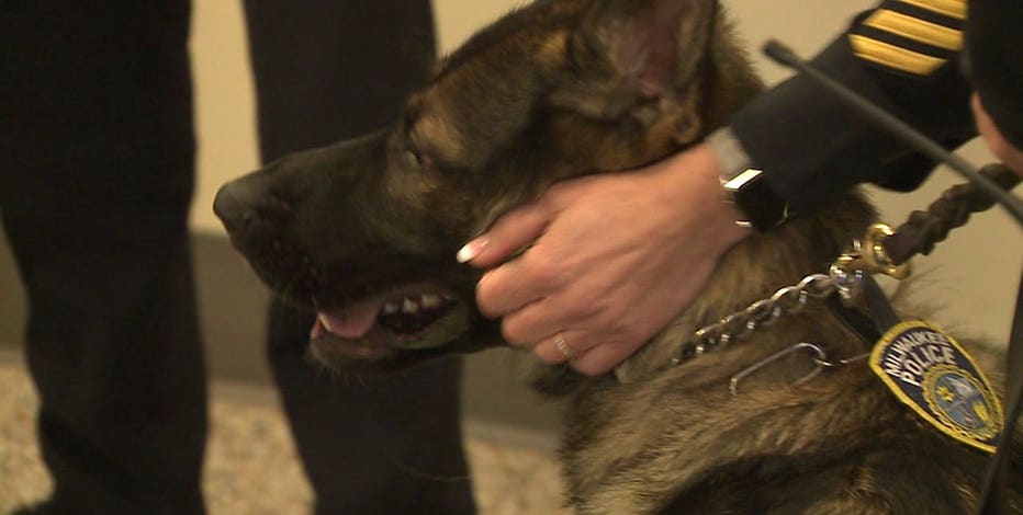 Milwaukee Alderman pushes to disallow K-9s as use of force