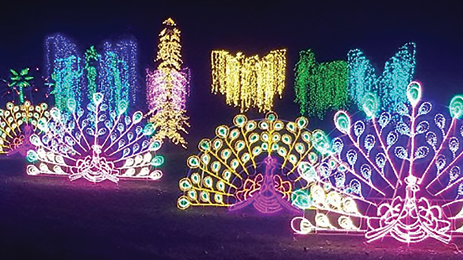 boerner botanical garden christmas lights