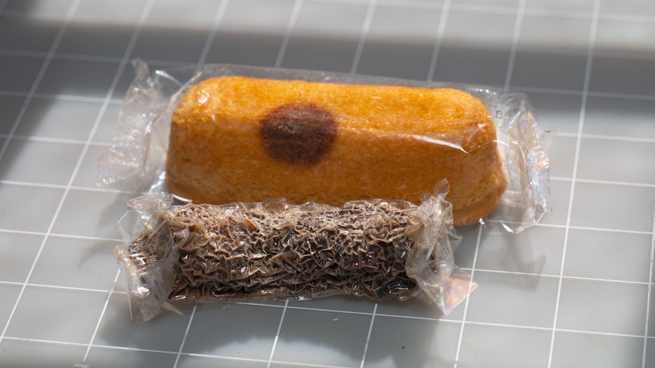 Moldy-Twinkie3.jpg