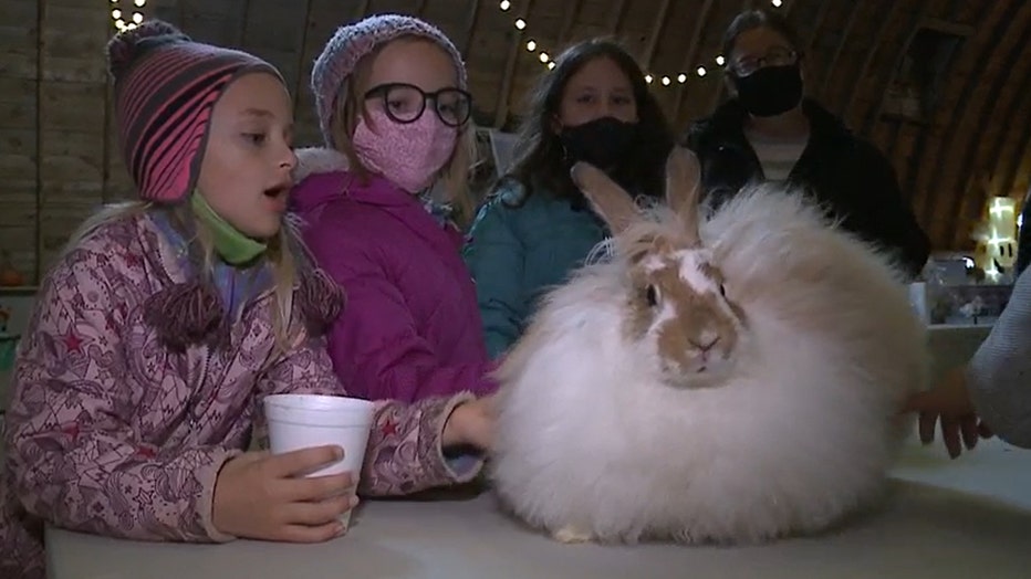 Kids meet Caramel Apple the bunny