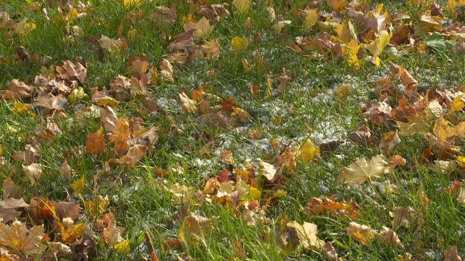 Leaf collection