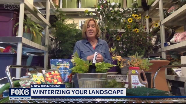 Preparing for winter: Tips on winterizing your landscape