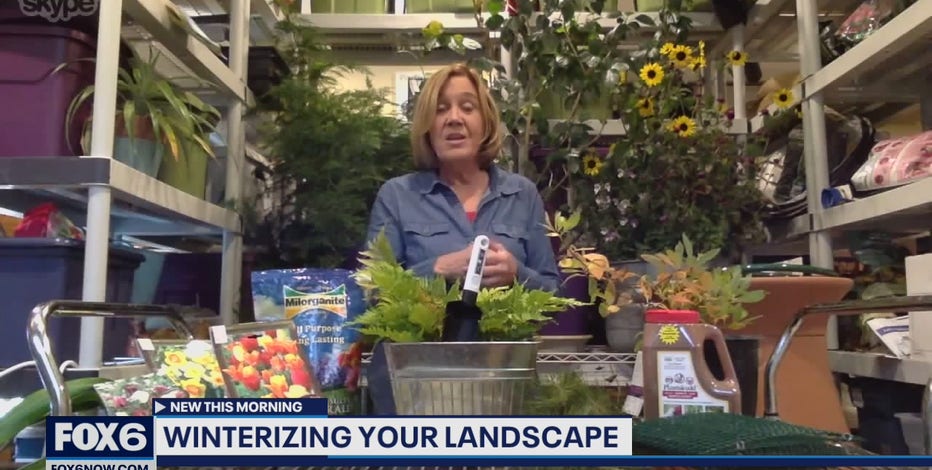 Preparing for winter: Tips on winterizing your landscape