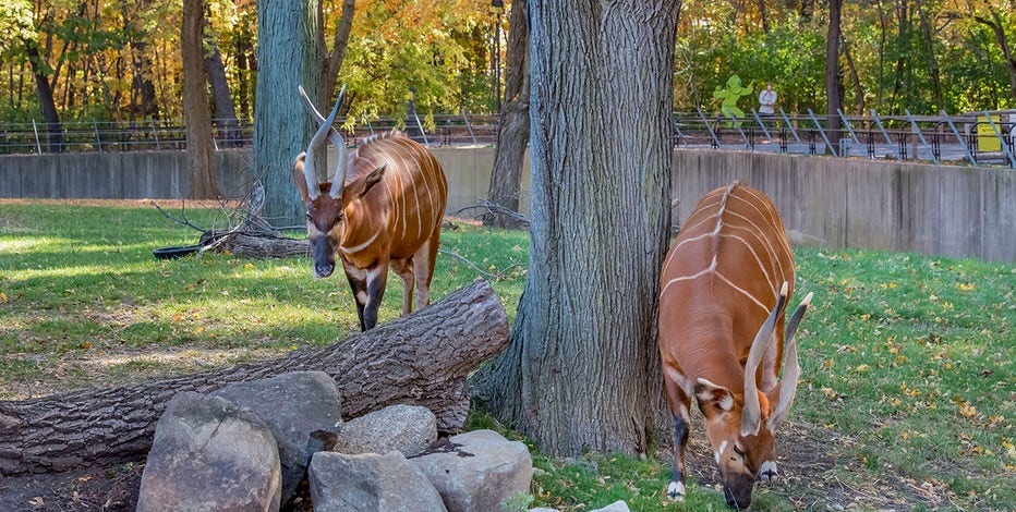 Milwaukee County Zoo will be closed on upcoming holidays
