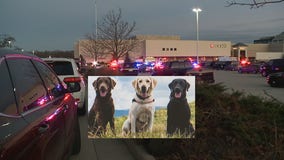 K-9s will detect firearms at Mayfair Mall