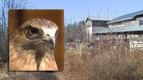 'It goes so far:' Schlitz Audubon grateful for donations