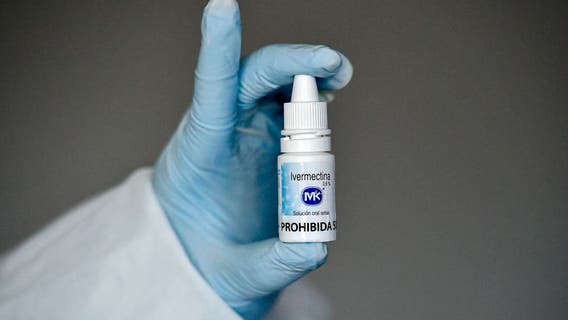 Doctor pleads for review of data on ivermectin as COVID-19 treatment during Senate hearing