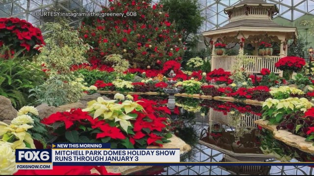 Looking for something to get you into the holiday spirit while escaping the cold?