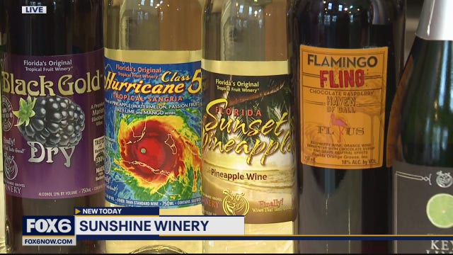 Sunshine Winery is located in the heart of historic downtown Cedarburg
