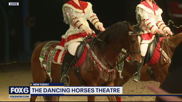 If you like horses, you’re going to love the shows at Dancing Horses Theatre