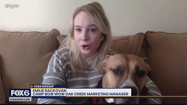 Looking for the perfect holiday gift for your pet? Check out this recipe