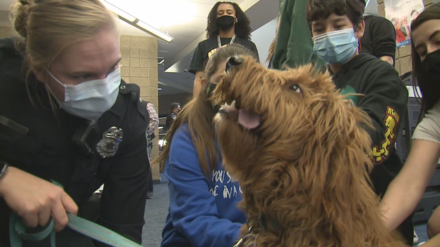 Police dogs help Greenfield officers relieve stress amid pandemic