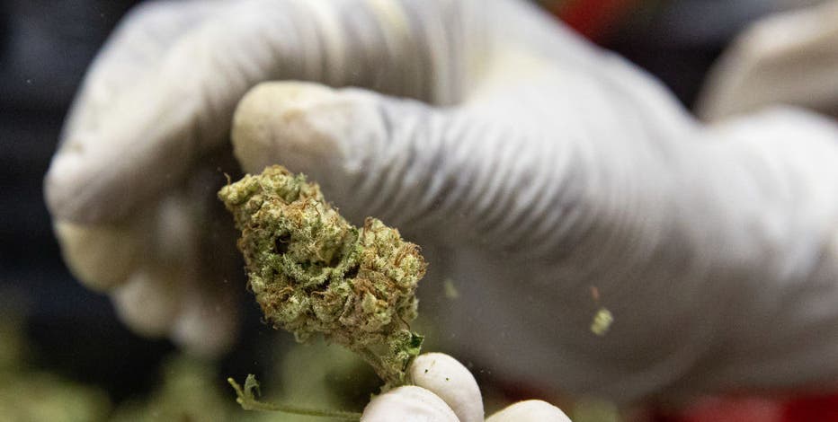 Governor Evers proposes legalizing marijuana in Wisconsin