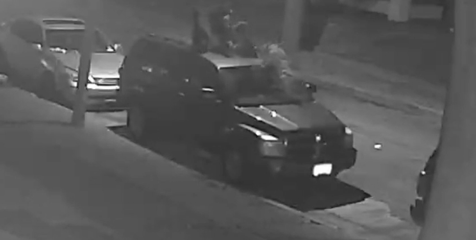 Home surveillance catches dog attack on Milwaukee&#8217;s north side