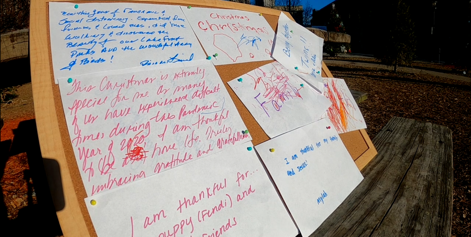 Looking for light amid the COVID-19 pandemic this holiday season