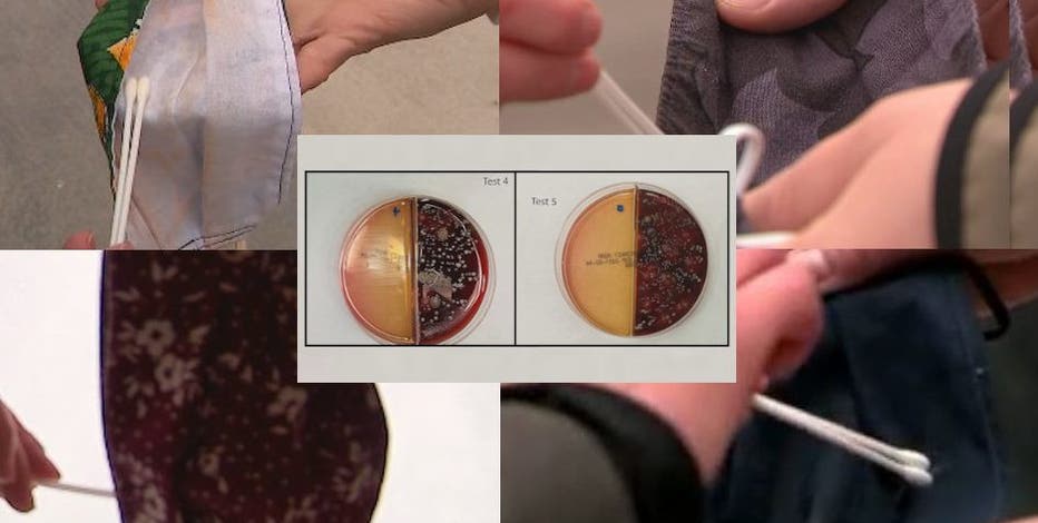 Contact 6 test: How much bacteria is on your mask?
