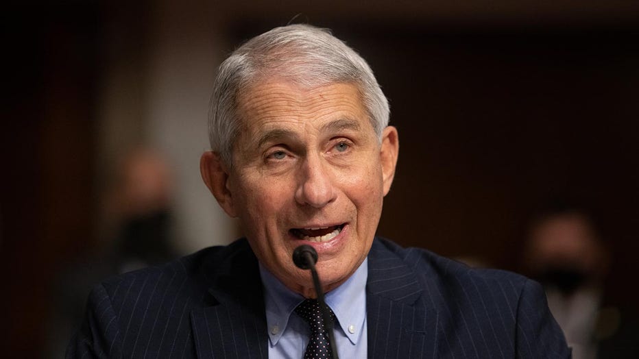 Anthony Fauci, director of National Institute of Allergy and Infectious Diseases at NIH, testifies at a Senate Health, Education, and Labor and Pensions Committee on Capitol Hill, on Sept. 23, 2020 in Washington, D.C. (Photo by Graeme Jennings- Pool/Getty Images)
