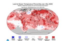 2020 becomes Earth’s second hottest year on record