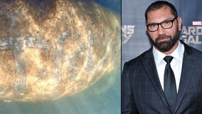 Dave Bautista offers $20K reward to find person who wrote 'TRUMP' on Florida manatee