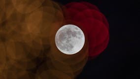 The ‘Wolf Moon’ will light up the night sky this week: How to get the best view