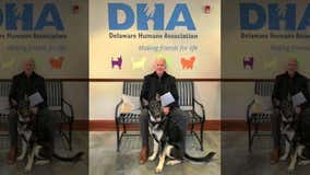 TMZ: President Biden's 'too aggressive' dogs booted from White House