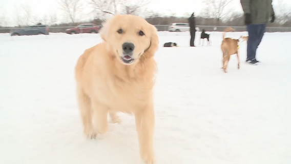 Racine braces for snowfall as winter storm strikes