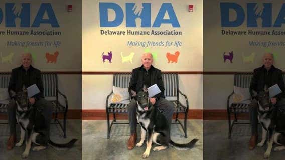 TMZ: President Biden's 'too aggressive' dogs booted from White House