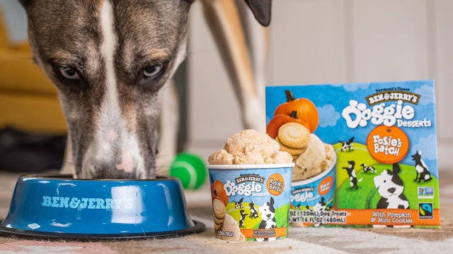Doggie desserts: Ben & Jerry's unveils line of frozen dog treats