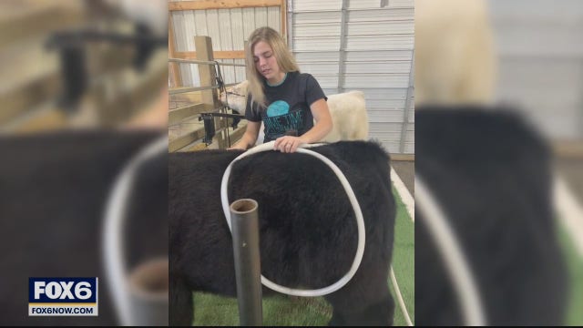 4 student entrepreneurs from Wisconsin compete to win $10K scholarship