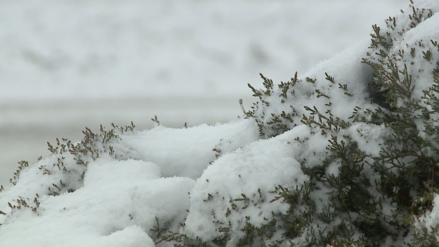 Pictures: Snowstorm hits southeast Wisconsin on Jan. 9, 2024