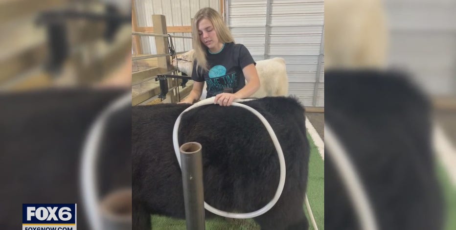 4 student entrepreneurs from Wisconsin compete to win $10K scholarship