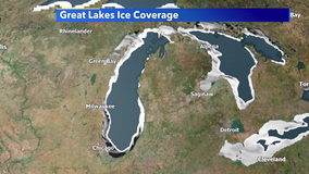 Lake Michigan ice coverage catching up fast after a mild start to 2021