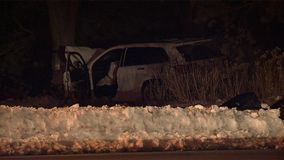 Milwaukee man dies from injuries after crash into tree in Shorewood