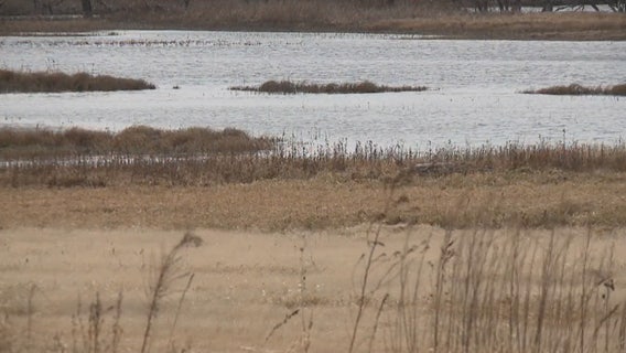 Along Rock River, demands to solve flooded fields and dying forest