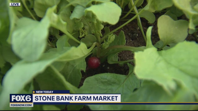 Stone Bank Market is a year round stop for seasonal foods, so much more