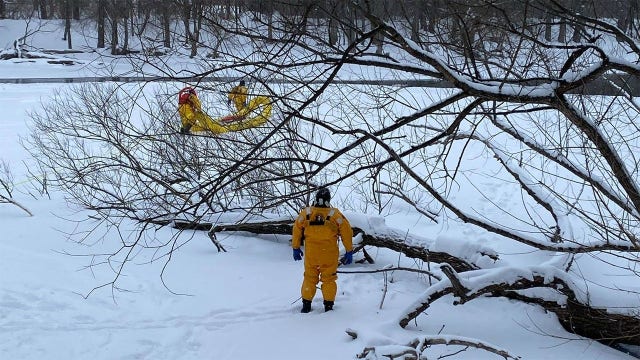 Thiensville FD: Person, goose rescued from Milwaukee River